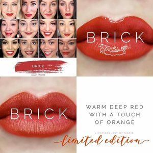 Brick LipSense LIp Color Limited Edition